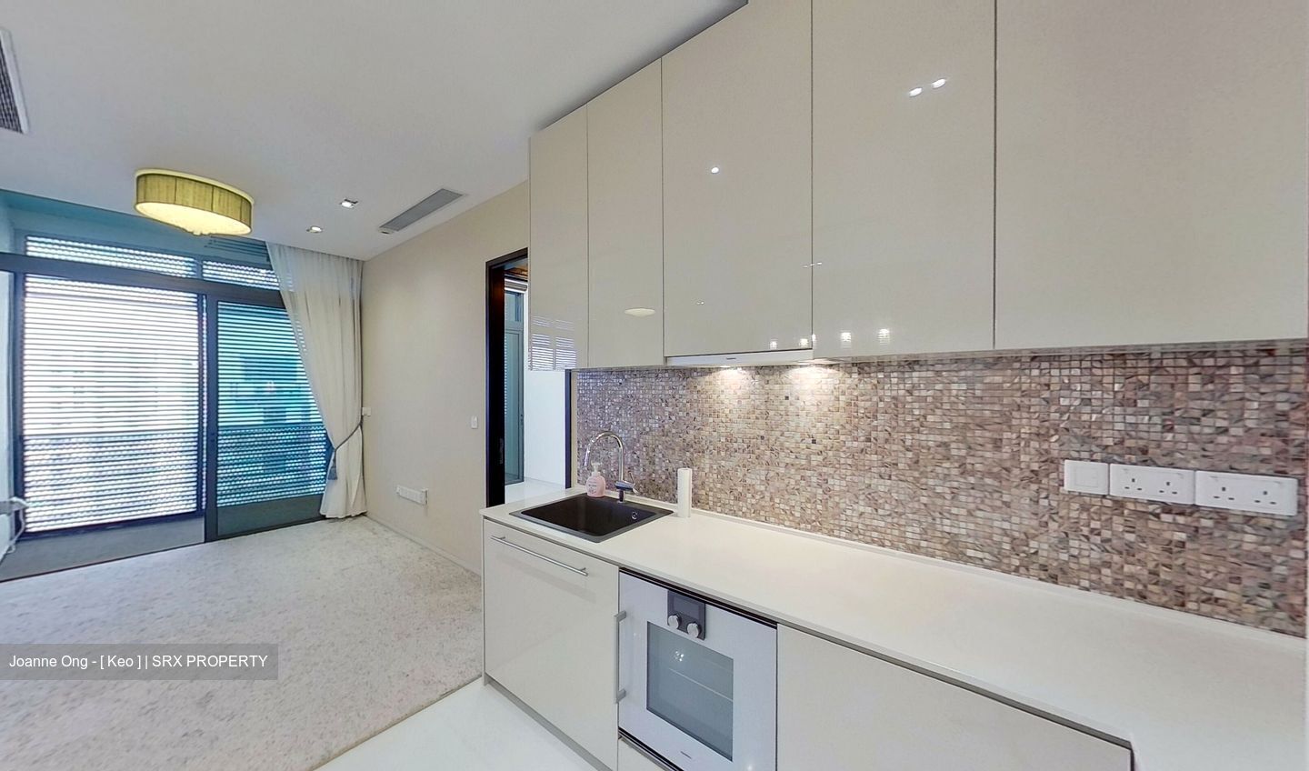 Robin Suites (D10), Apartment For Sale 98787711